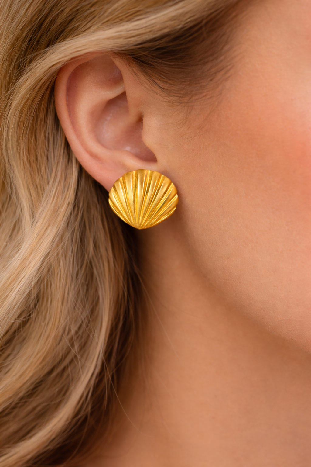 Sea Shell Earrings